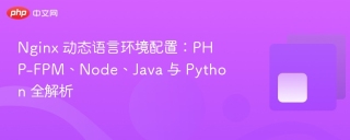 nginx 动态语言环境配置：php-fpm、node、java 与 python 全解析