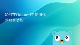 如何在goland中使用代码检查功能