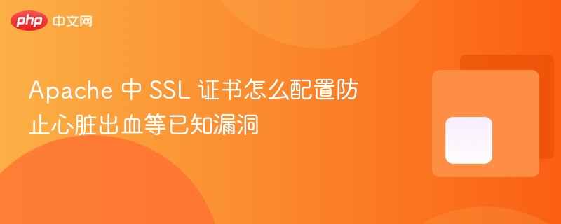 apache 中 ssl 证书怎么配置防止心脏出血等已知漏洞