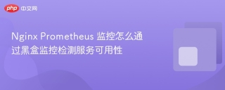 nginx prometheus 监控怎么通过黑盒监控检测服务可用性