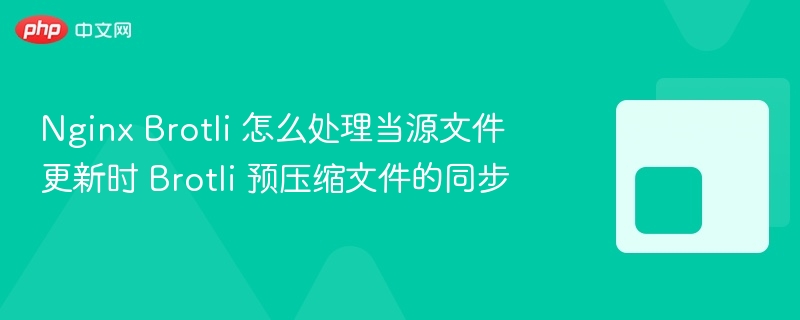 nginx brotli 怎么处理当源文件更新时 brotli 预压缩文件的同步