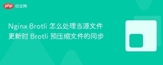 nginx brotli 怎么处理当源文件更新时 brotli 预压缩文件的同步