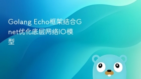 golang echo框架结合gnet优化底层网络io模型