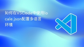如何在vscode中使用locale.json配置多语言环境