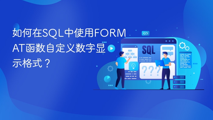 如何在sql中使用format函数自定义数字显示格式?