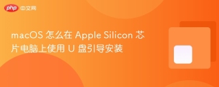 macos 怎么在 apple silicon 芯片电脑上使用 u 盘引导安装