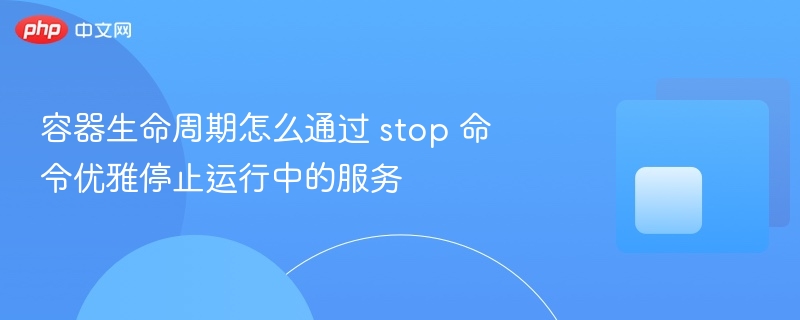 容器生命周期怎么通过 stop 命令优雅停止运行中的服务