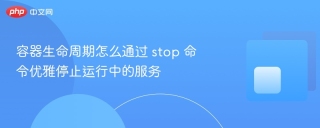 容器生命周期怎么通过 stop 命令优雅停止运行中的服务