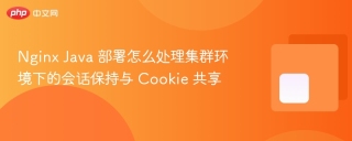 nginx java 部署怎么处理集群环境下的会话保持与 cookie 共享