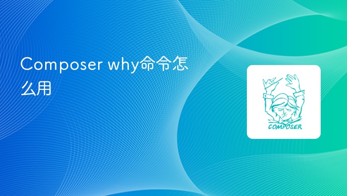 composer why命令怎么用