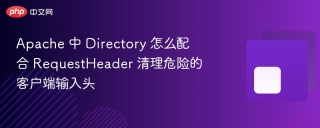 apache 中 directory 怎么配合 requestheader 清理危险的客户端输入头