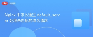 nginx 中怎么通过 default_server 处理未匹配的域名请求