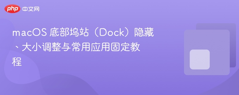 macos 底部坞站(dock)隐藏、大小调整与常用应用固定教程