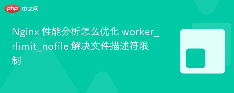 nginx 性能分析怎么优化 worker_rlimit_nofile 解决文件描述符限制