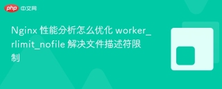 nginx 性能分析怎么优化 worker_rlimit_nofile 解决文件描述符限制