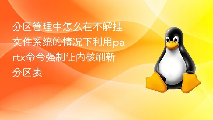 分区管理中怎么在不解挂文件系统的情况下利用partx命令强制让内核刷新分区表