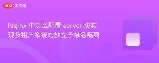 nginx 中怎么配置 server 块实现多租户系统的独立子域名隔离