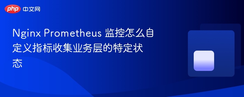 nginx prometheus 监控怎么自定义指标收集业务层的特定状态