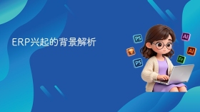 ERP兴起的背景解析