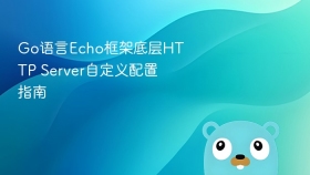 Go语言Echo框架底层HTTP Server自定义配置指南