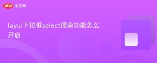 layui下拉框select搜索功能怎么开启