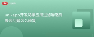 uni-app开发鸿蒙应用过滤器遇到兼容问题怎么修复