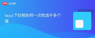 layui下拉框如何一次性选中多个值