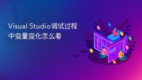 Visual Studio调试过程中变量变化怎么看
