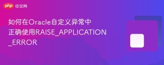 如何在Oracle自定义异常中正确使用RAISE_APPLICATION_ERROR
