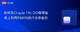如何在Oracle 19c DG物理备库上利用RMAN执行全库备份