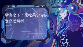 雾海之下：熊松果实介绍及品质解析