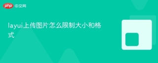 layui上传图片怎么限制大小和格式