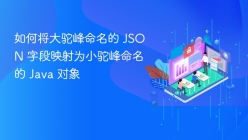 如何将大驼峰命名的 JSON 字段映射为小驼峰命名的 Java 对象