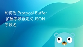 如何为 Protocol Buffer 扩展字段自定义 JSON 字段名