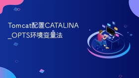 Tomcat配置CATALINA_OPTS环境变量法