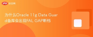 为什么Oracle 11g Data Guard备库会出现FAL GAP断档