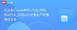 怎么在Oracle的PL/SQL中利用APEX_DEBUG记录生产环境调试日志