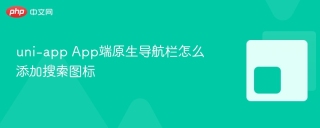 uni-app App端原生导航栏怎么添加搜索图标
