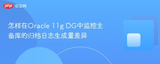 怎样在Oracle 11g DG中监控主备库的归档日志生成量差异