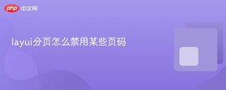 layui分页怎么禁用某些页码