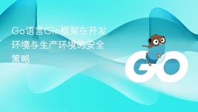 Go语言Gin框架在开发环境与生产环境的安全策略