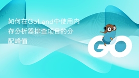 如何在GoLand中使用内存分析器排查项目的分配峰值