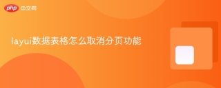 layui数据表格怎么取消分页功能