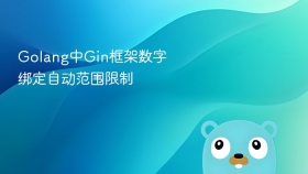 Golang中Gin框架数字绑定自动范围限制