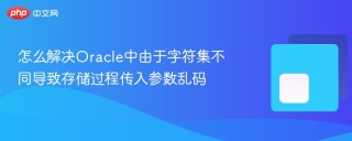 怎么解决Oracle中由于字符集不同导致存储过程传入参数乱码