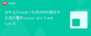 为什么Oracle 19c的AWR报告中出现大量的cursor: pin S wait on X