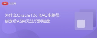 为什么Oracle12c RAC多路径绑定后ASM无法识别磁盘