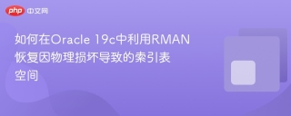 如何在Oracle 19c中利用RMAN恢复因物理损坏导致的索引表空间