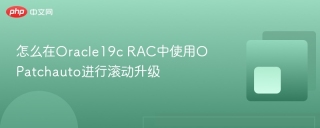 怎么在Oracle19c RAC中使用OPatchauto进行滚动升级