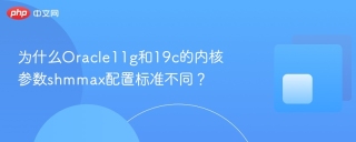 为什么Oracle11g和19c的内核参数shmmax配置标准不同？